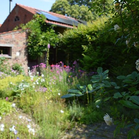 Miekes Boesj Bed and Breakfast Koningsbosch Buitenkant foto