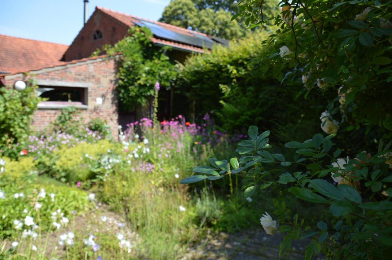 Miekes Boesj Bed and Breakfast Koningsbosch Buitenkant foto